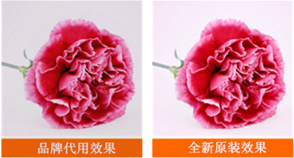 震旦ADC227硒鼓效果輸出圖片對比